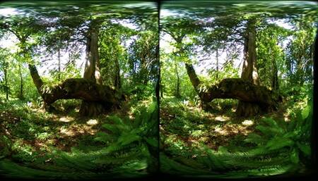 A curse more powerful featuring Amber Chase