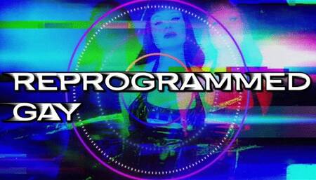 Reprogrammed Gay SD WMV