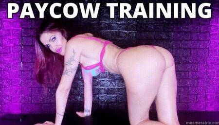 PAYCOW TRAINING