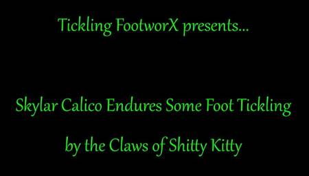 Skylar Calico Endures Some Foot tickling At The Claws Of Kitty