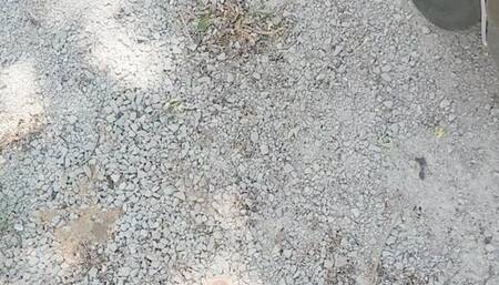 Showing the Valiant to a Potential Buyer