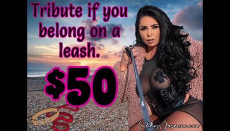 Tribute if you Belong on a leash $50