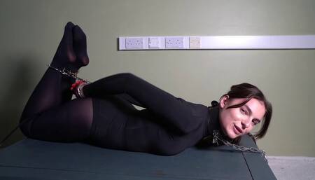 3037 Harriett in Hogcuffed Display