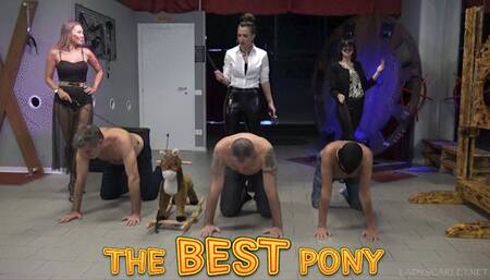 Lady Scarlet - The best pony