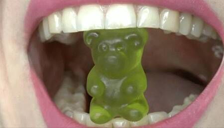 Let the bears feel how sharp your teeth are  MP4 FULL HD 1080p