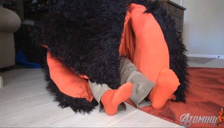 BEWARE OF THE SOCK MONSTER - HD