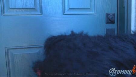 BEWARE OF THE SOCK MONSTER - WMV