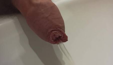 Morning Long Foreskin Pee Closeup