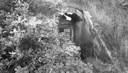 July 4th Independence Day 2022 4k