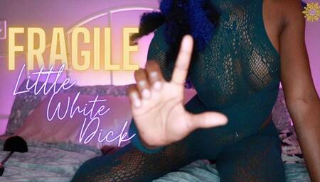 Fragile Little White Dick