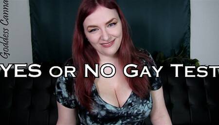 Yes or no gay test