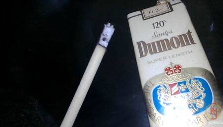 Santos Dumont Mild 120s inside