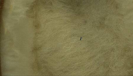 Kendra Allure Finds Shrunken Step-Son On Socks (HD 1080p MP4)