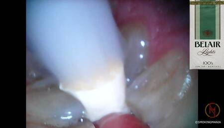 BELAIR 100s lights menthol inside 2