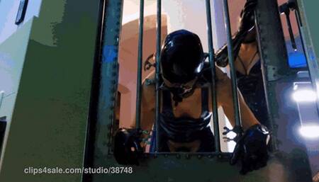 Locked, Bent Over and Milked (1080p)