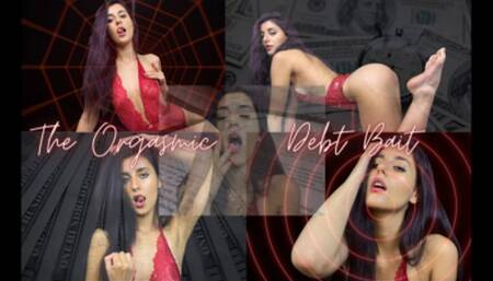 The Orgasmic Debt Bait