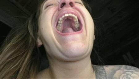 Purring wet yawns wmv