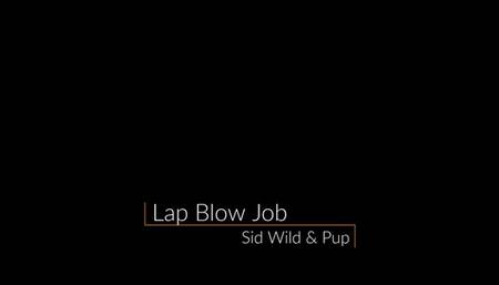 Noisy & Wet Lap Blowjob, POV, CFNM