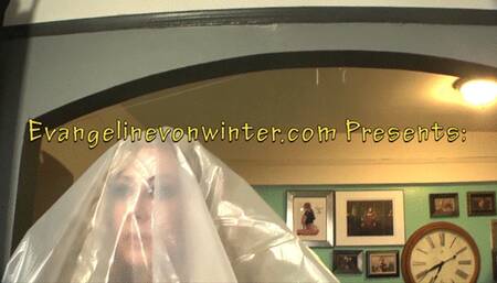 Diana Knight Becomes Frozen Dianaquin