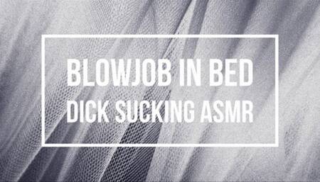 Blowjob in Bed Dick Sucking ASMR