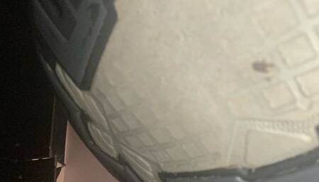 Humiliated into Shrinking - FX Version - Macro GT Audio Fantasy