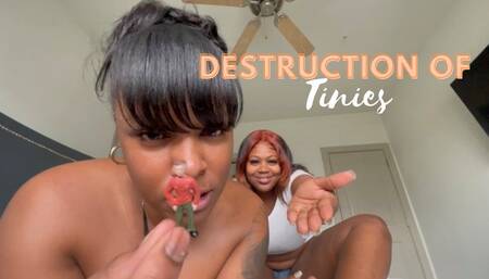 Destruction of Tinies ft Sucksunnysoles