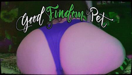 Good Findom Pet