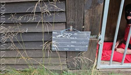 Prisoner #28 at the Hidden Turture Farm II - Shower and Shave - Chapter 01