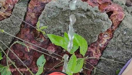 Girl Pissing into Water from the Riverbank