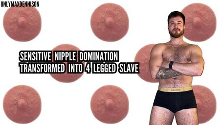 Sensitive nipples domination - Transformed into 4 Legged slave
