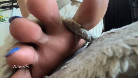 Tiny is coming with me