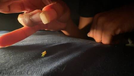 Giantess Cirilla - Fingering a Fan