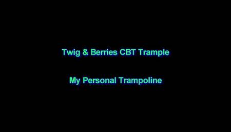 My Personal Trampoline