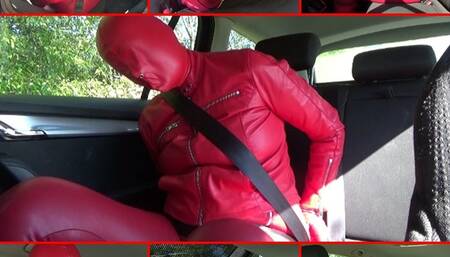 Seat belts and handcuffs 15