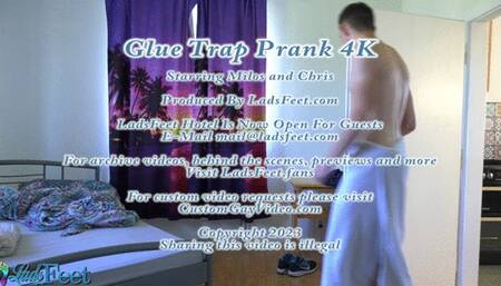Glue Trap Prank 4K