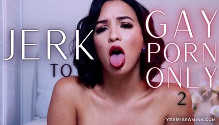 Jerk To Gay Porn Only 2