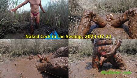 Naked Cock in the Swamp, 2022-07-21