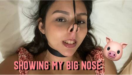 Showing Different Angles Of My Big Nose + Nosehook