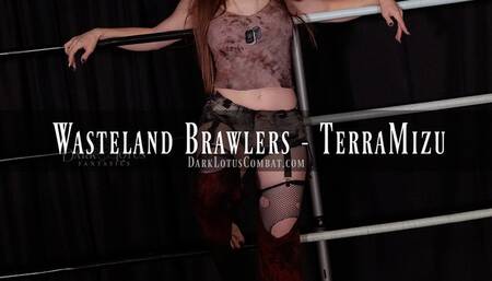 WASTELAND BRAWLERS POV - TerraMizu