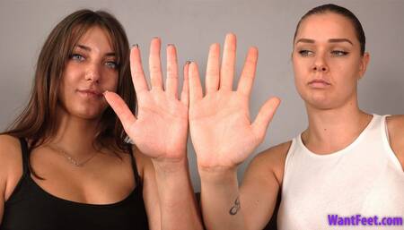 Hand Measure Compare - HD MP4