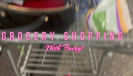 Grocery Shopping with Fairy