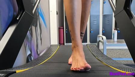 Treadmill Walking - HD MP4