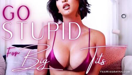 Go Stupid For Big Tits