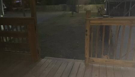 Payback Pee Desperation and Diapering for Roomie