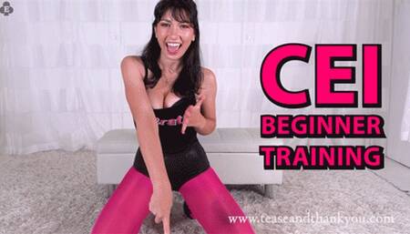 CEI Beginner Training