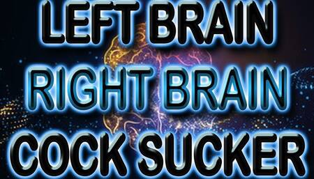 LEFT BRAIN RIGHT BRAIN COCK SUCKER