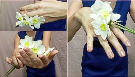 Delicate flowers at hand
