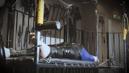 WELLINGTON RUBBER BOOTS TRAMPLING