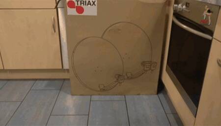 Cardboard boxes trample 6