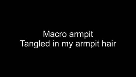 Macrophilia - tangled in giants armpit hair